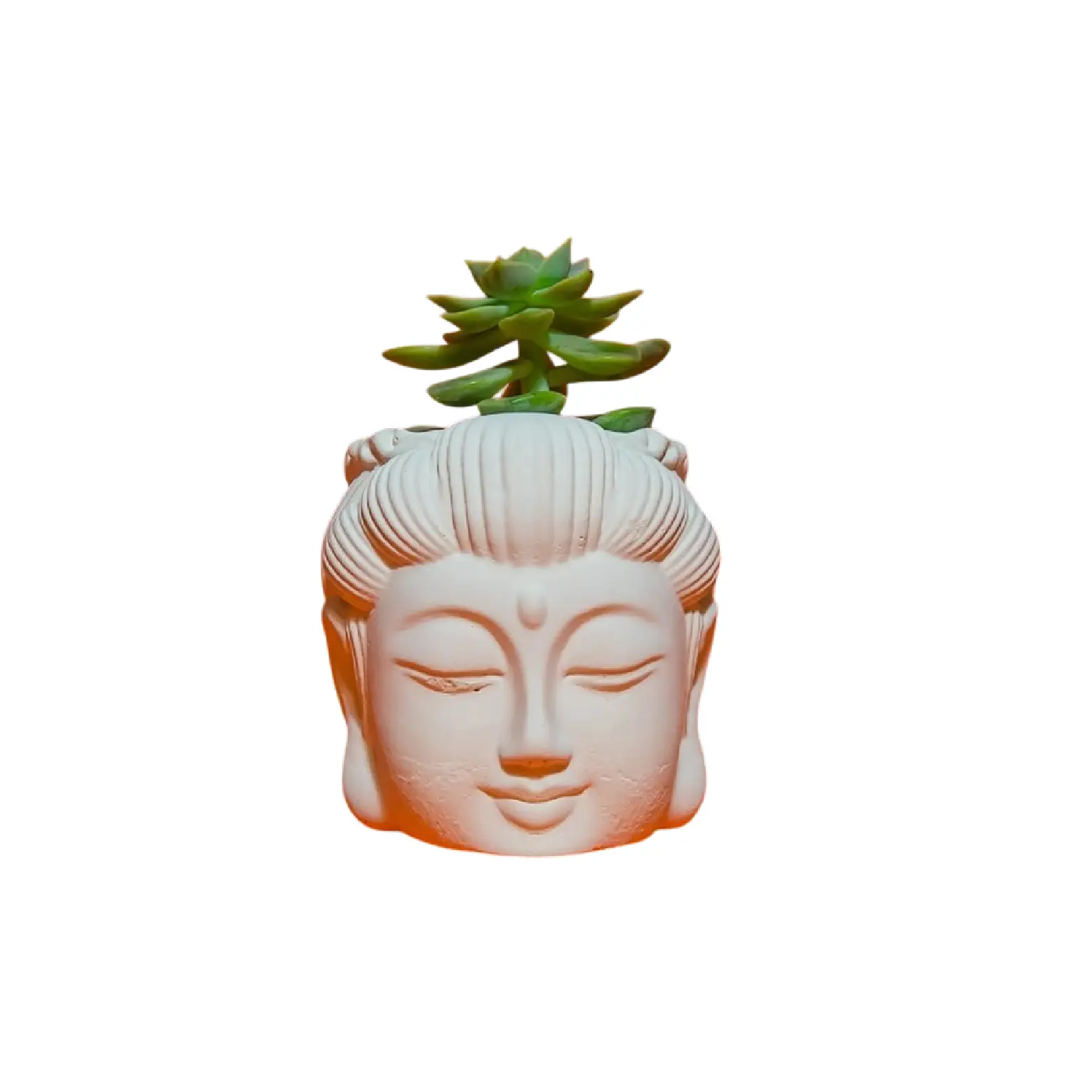 Pot en Béton Tête de Bouddha